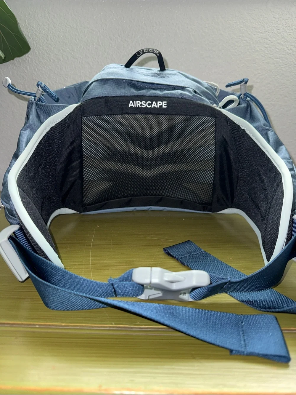 OSPREY | Tempest 6 Waist Pack - Slate Blue, Unisex